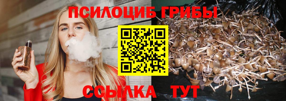 Вязники  Галлюциногенные грибы мухоморы  Вход с VPN 
