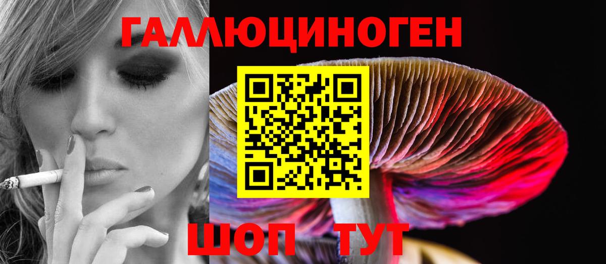 Псилоцибиновые грибы GOLDEN TEACHER Вязники